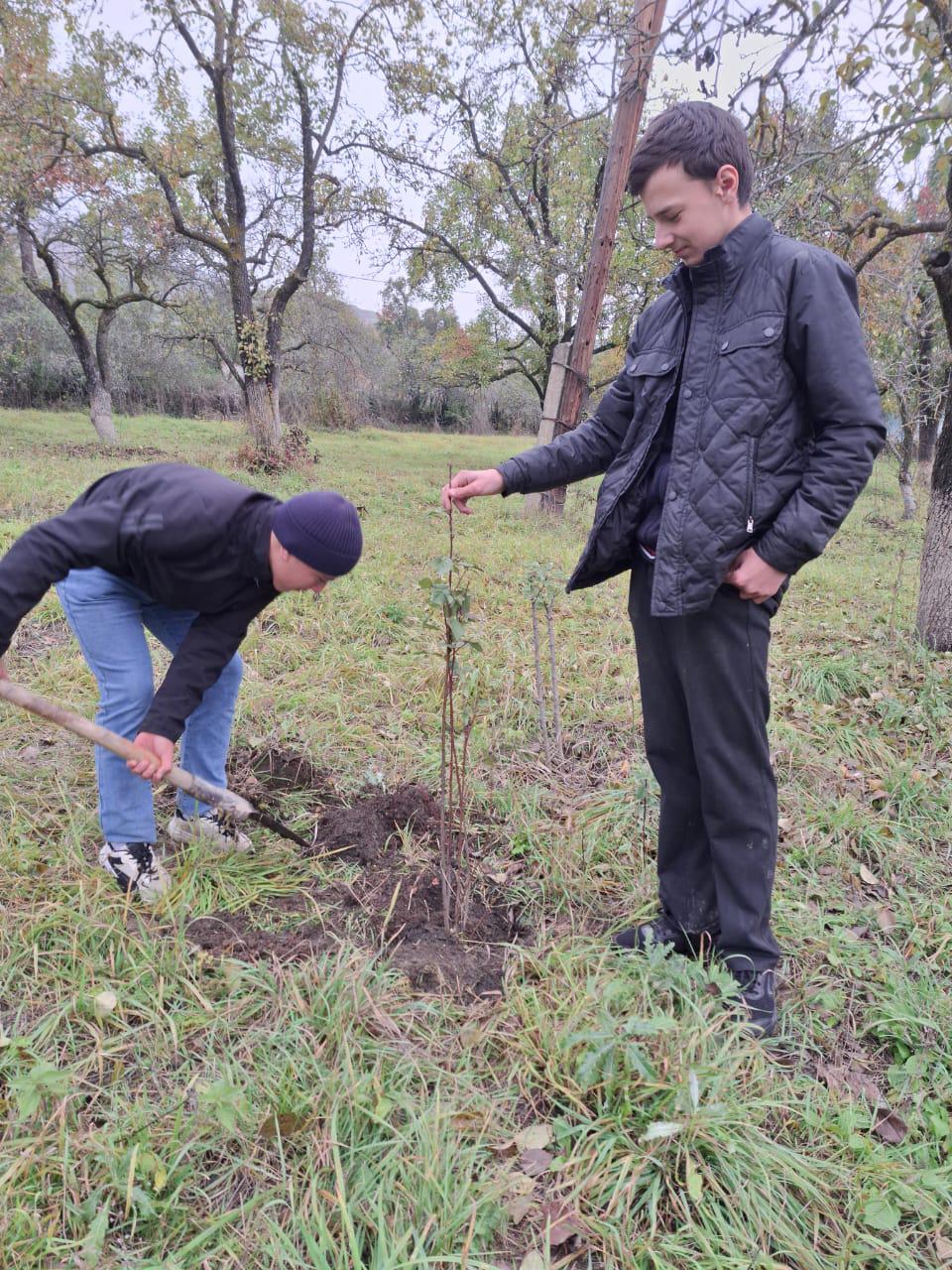 Доброе дело.